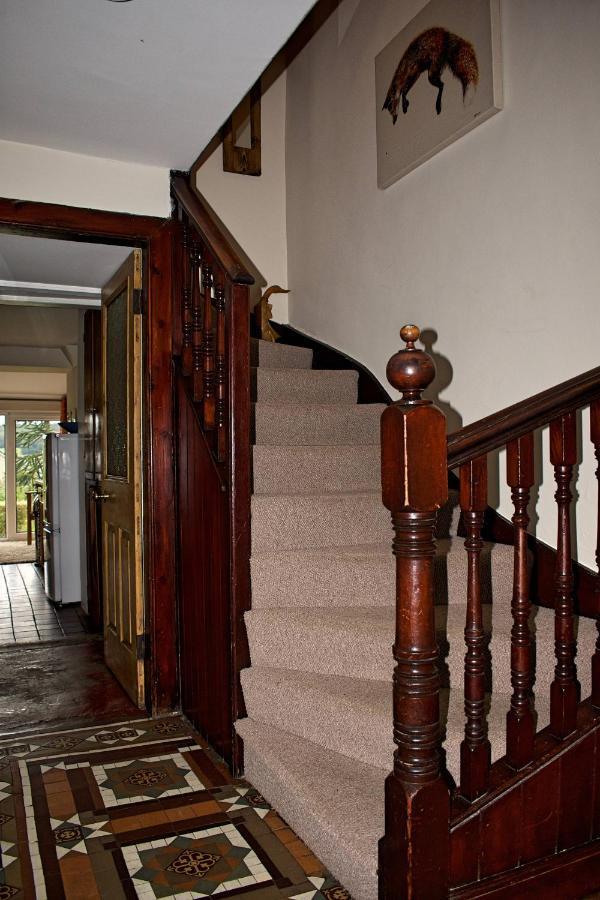 ג'דבורו Violet Cottage מראה חיצוני תמונה